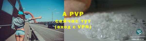 СК Горно-Алтайск